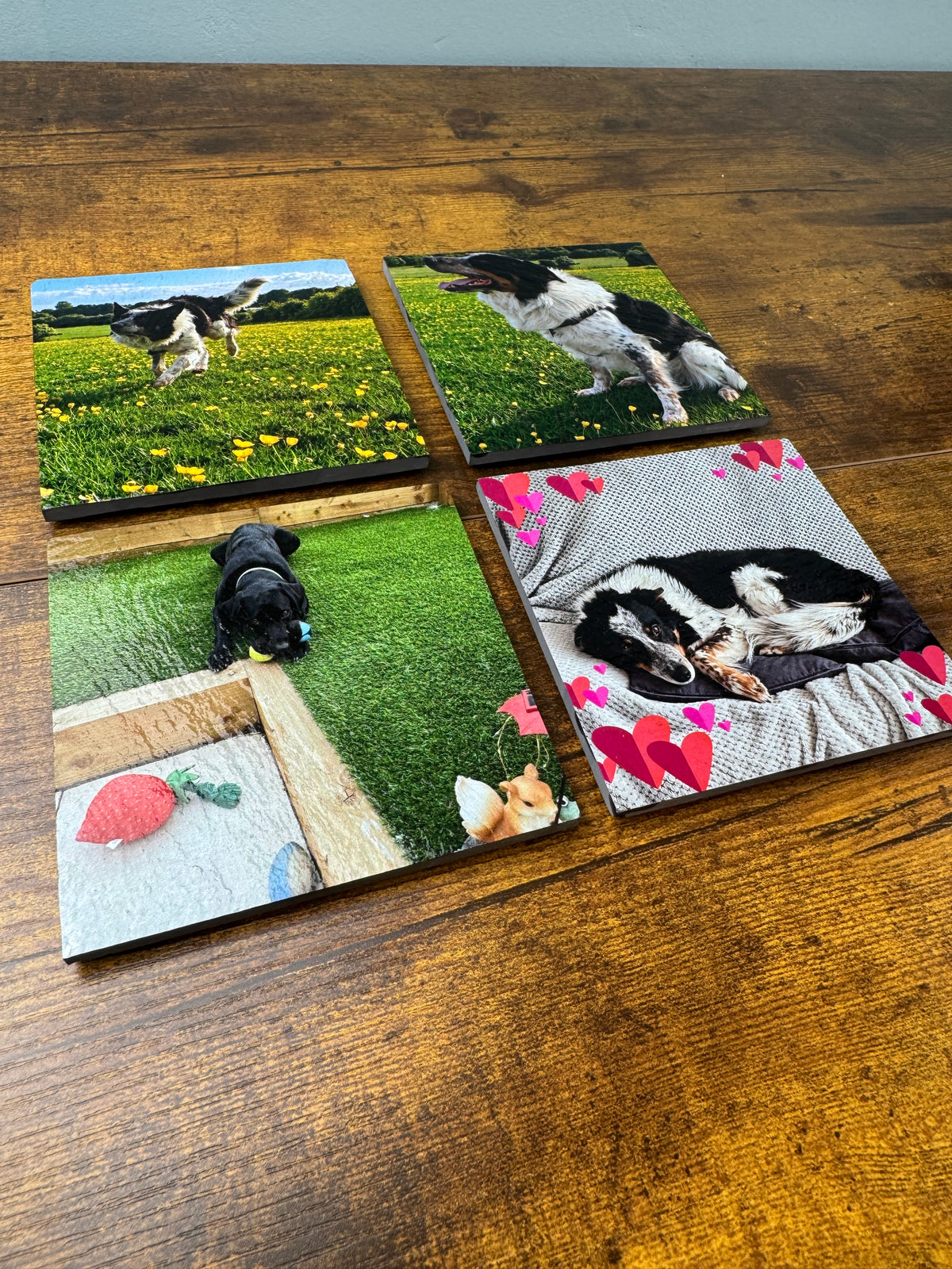 Four square custom photo coasters featuring images of dogs, displayed on a wooden tabletop.