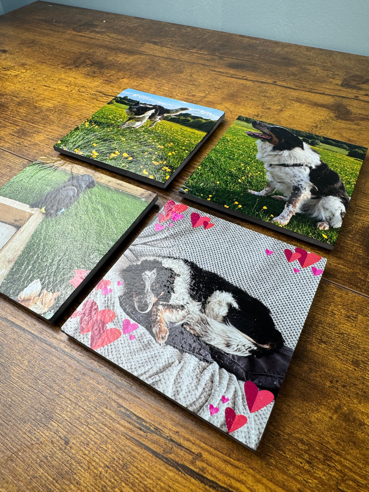 Four square custom photo coasters featuring different pet scenes, arranged on a wooden tabletop.