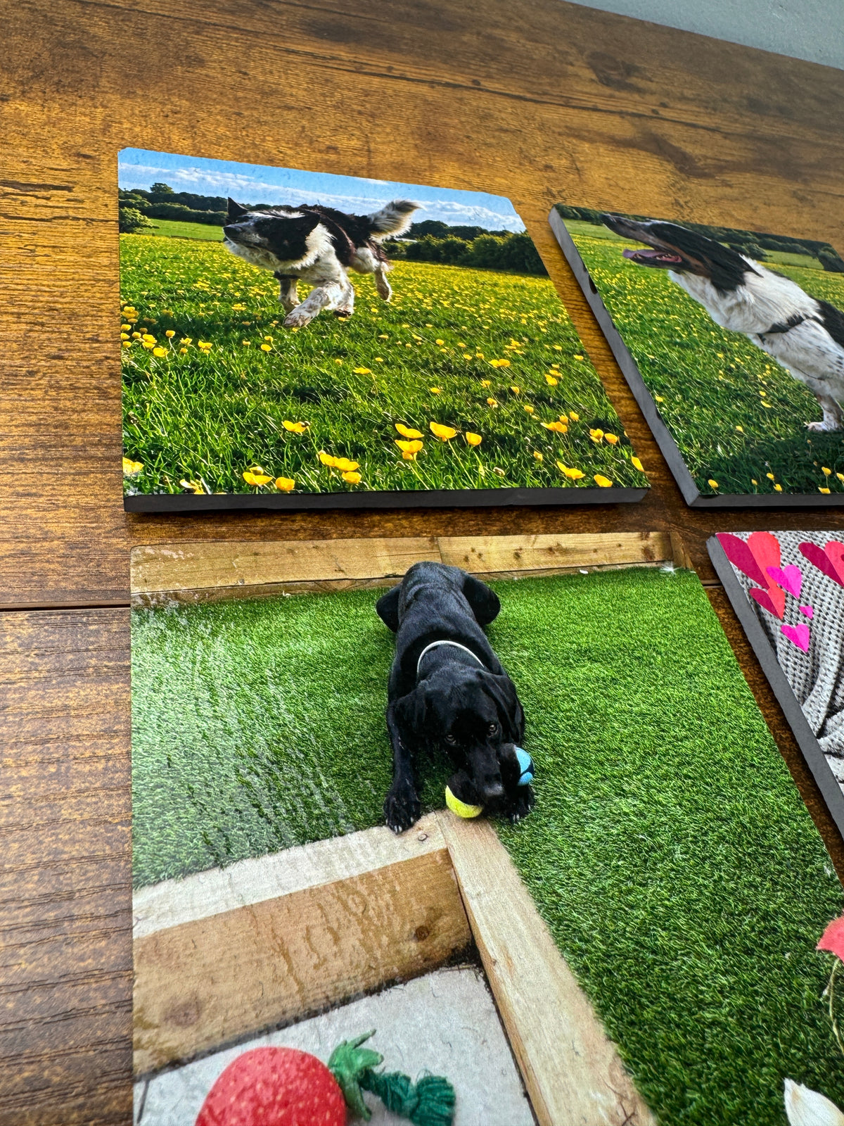 Custom pet portrait canvas prints displayed on a wooden table, featuring a black dog on artificial grass and a black-and-white dog in a yellow flower field.