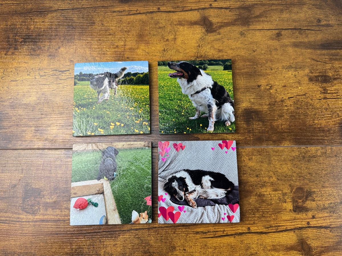 Four square custom photo canvas prints arranged in a 2x2 grid on a rustic wooden background. The prints feature colorful photographs of dogs in outdoor grassy fields and on a patterned blanket.