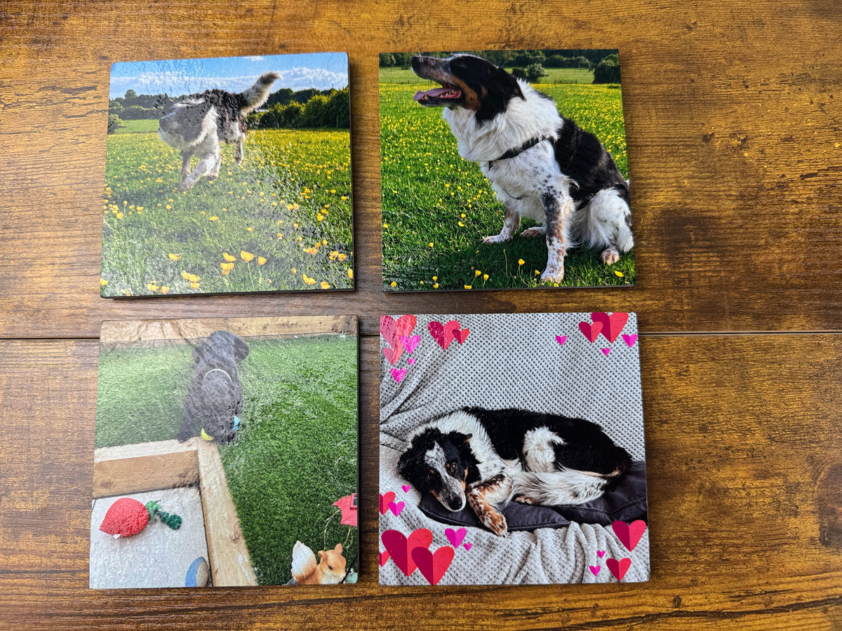 Four square custom photo coasters featuring images of dogs, arranged in a 2x2 grid on a wooden tabletop.