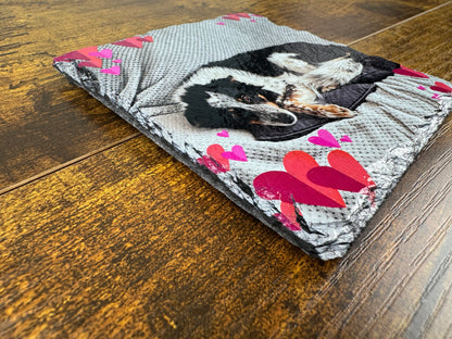 A square custom pet memorial blanket featuring a printed photo of a black and white dog, decorated with pink and red hearts on a gray textured background, resting on a dark wood floor.