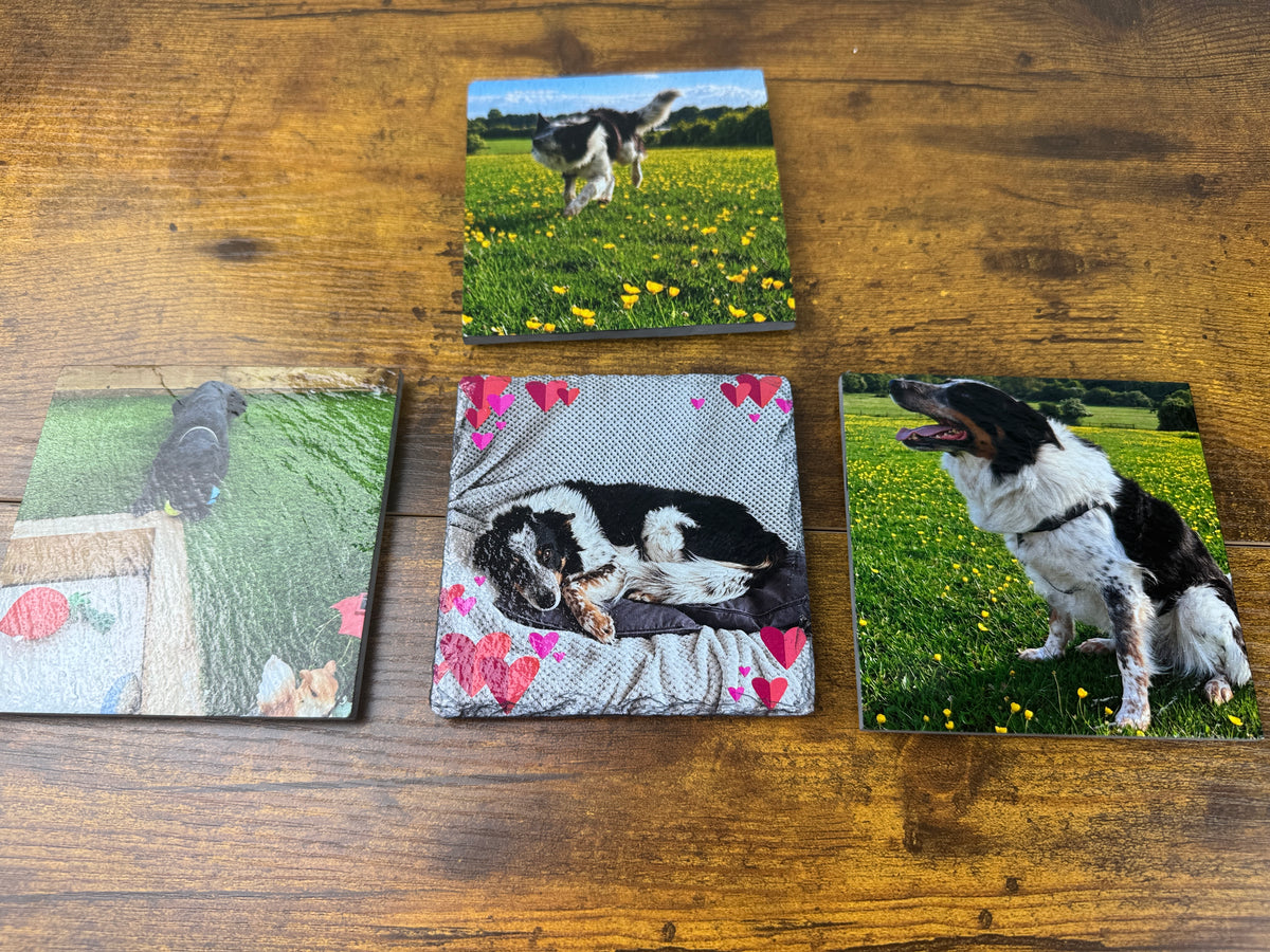 Four square photo coasters featuring different dog scenes, arranged on a wooden tabletop.
