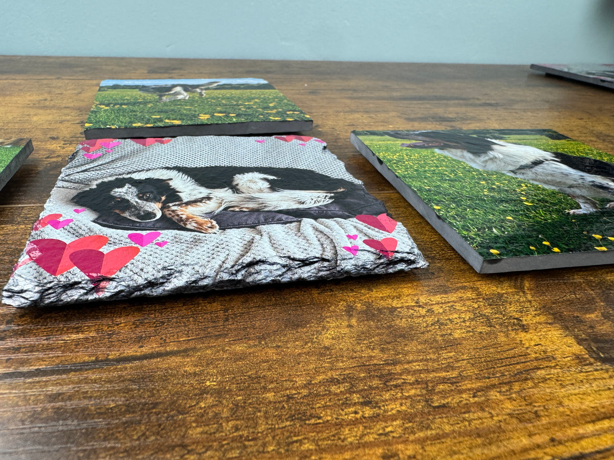 Custom printed pet memorial coasters displayed on a wooden table. The main coaster in the foreground features a printed photo of a black and white dog lying on a gray blanket with pink and red hearts, while other coasters in the background show similar custom dog photo prints on a green grassy field.
