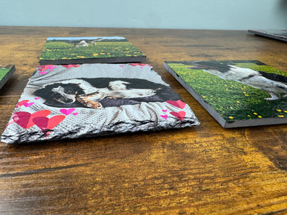 Custom printed pet memorial coasters displayed on a wooden table. The main coaster in the foreground features a printed photo of a black and white dog lying on a gray blanket with pink and red hearts, while other coasters in the background show similar custom dog photo prints on a green grassy field.