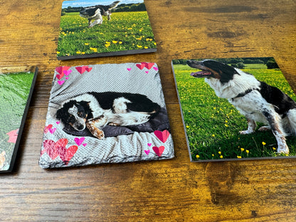 Square photo coasters displayed on a wooden table, featuring printed images of dogs in a grassy field and a sleeping dog on a heart-patterned blanket.