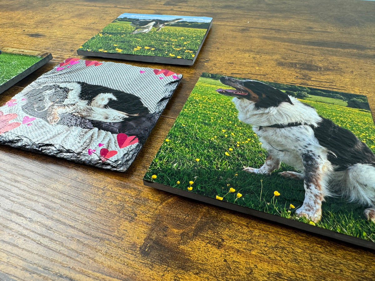 Square printed coasters displayed on a wooden tabletop, featuring scenic and pet-themed designs including a dog in a grassy field and a sleeping dog on a quilted pattern.