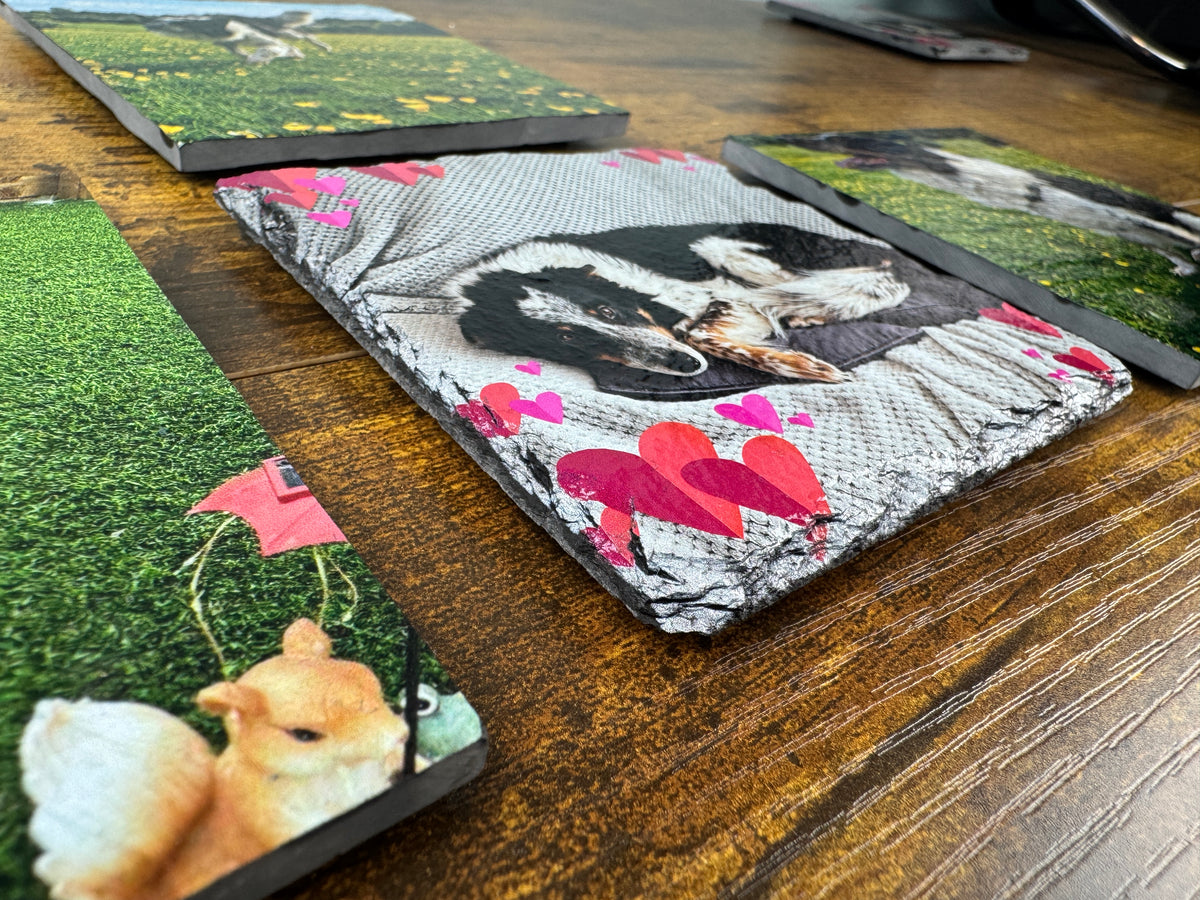 Custom printed slate coasters arranged on a wooden table, featuring pet-themed designs including a black and white dog with red hearts and a small brown animal on green grass.