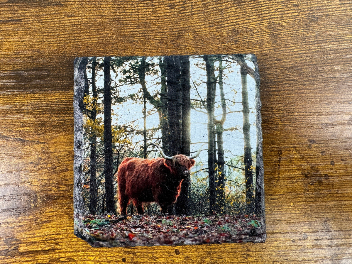Custom Slate Fridge Magnet