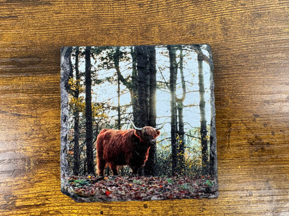 Custom Slate Fridge Magnet