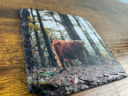 Custom Slate Fridge Magnet