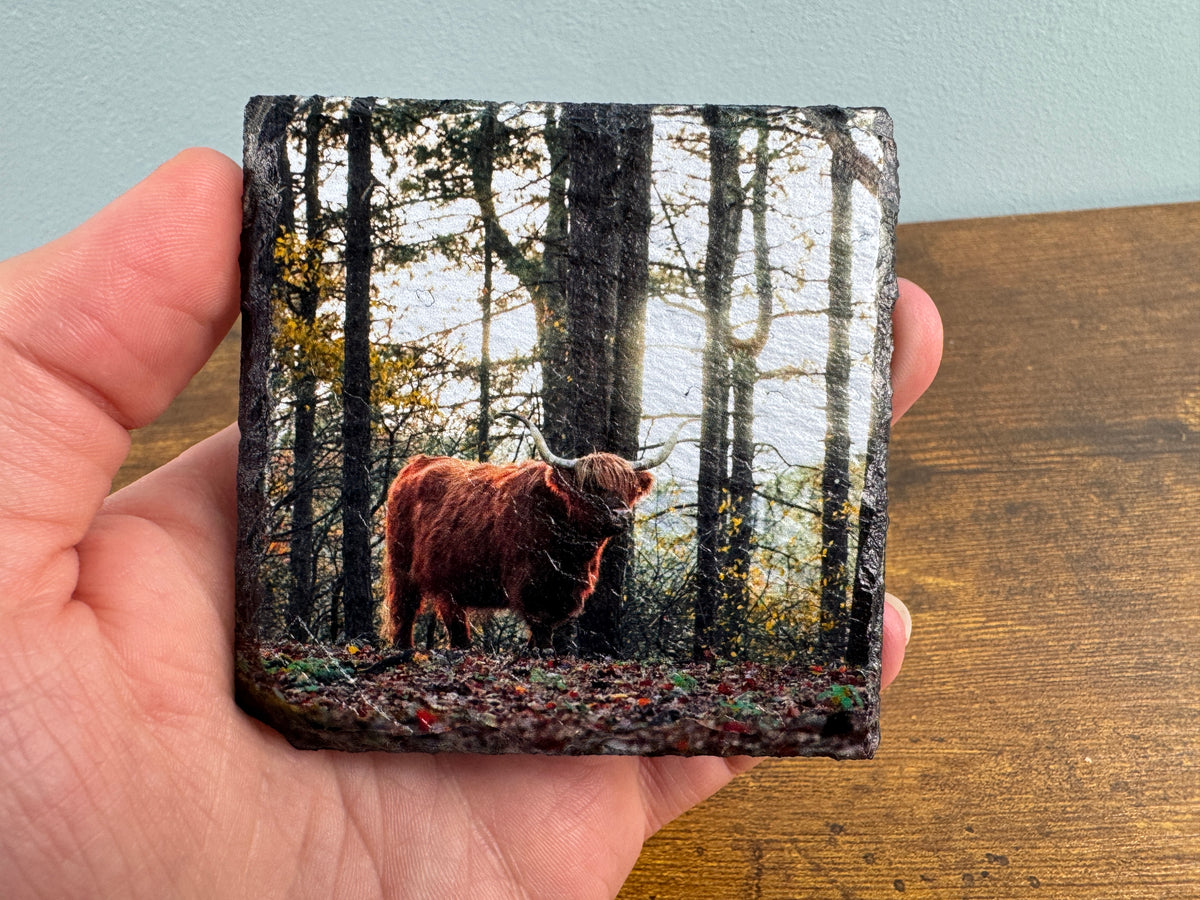 Custom Slate Fridge Magnet