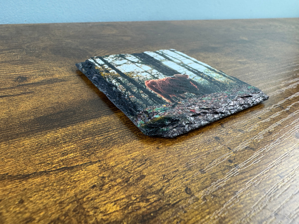 Custom Slate Fridge Magnet
