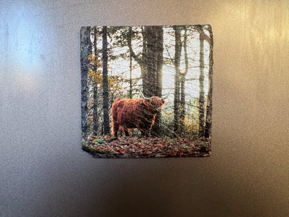 Custom Slate Fridge Magnet