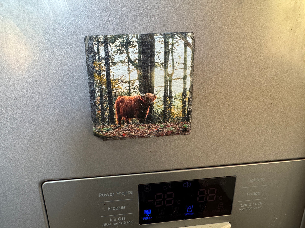 Custom Slate Fridge Magnet