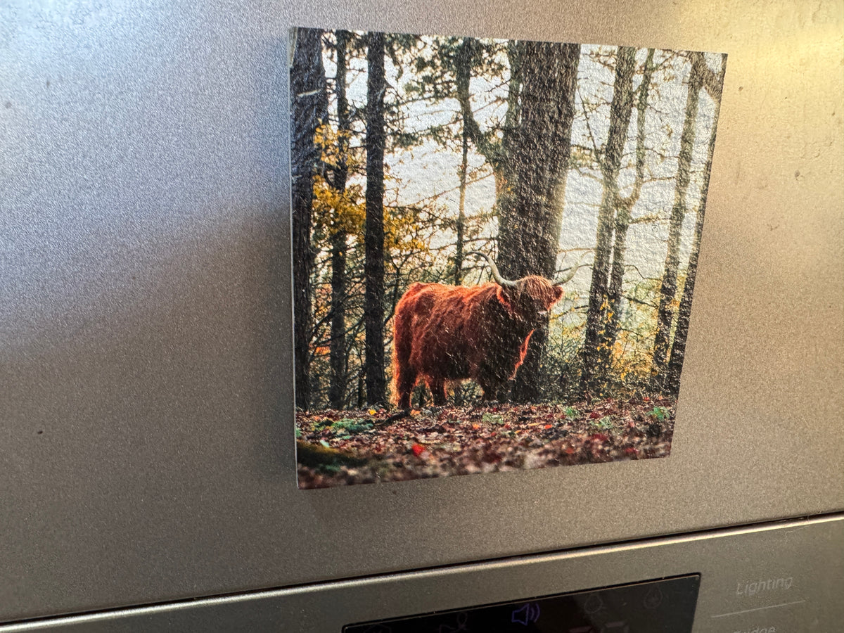 Custom Slate Fridge Magnet