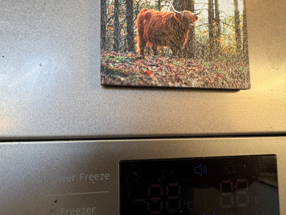 Custom Slate Fridge Magnet
